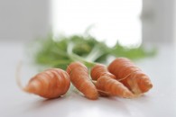 fotografía de alimentos zanahoria