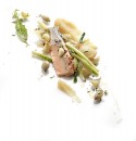 Trout Gastronomy Martin Molteni Food Photography