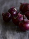 food photography red onion