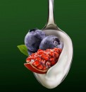 Yoghurt Ser Danone Blueberry