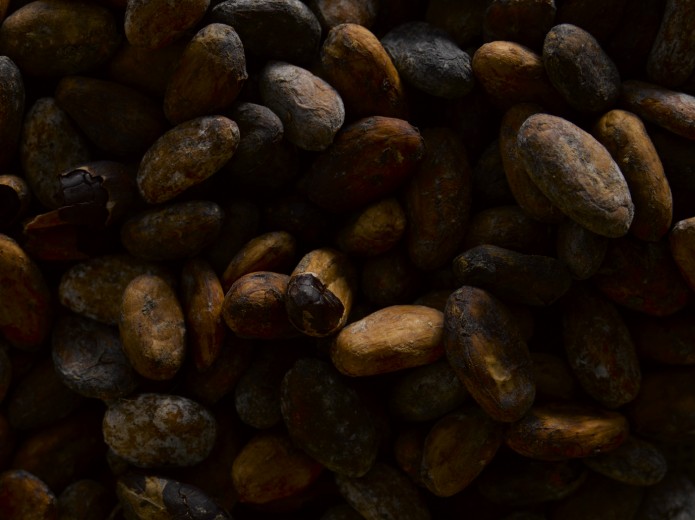 Food photography cocoa beans
