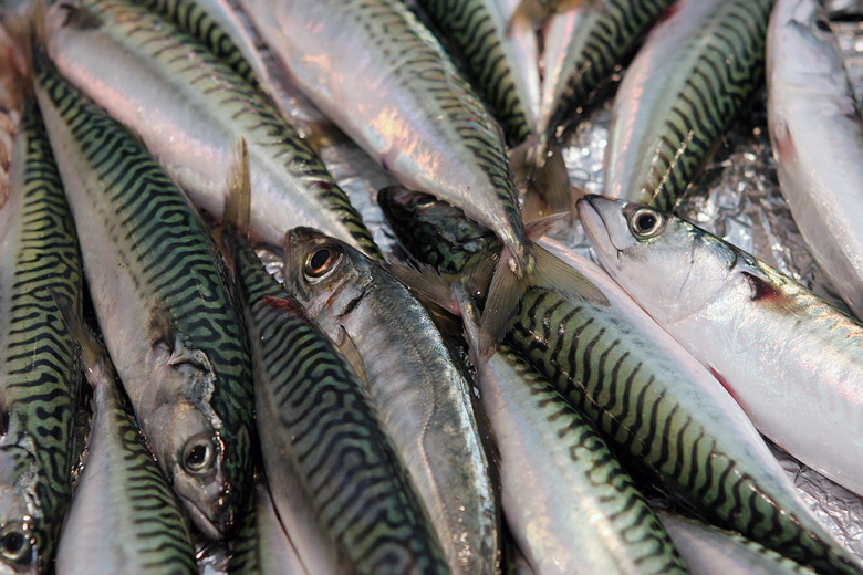 Food photography fish