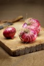 food photography red onion
